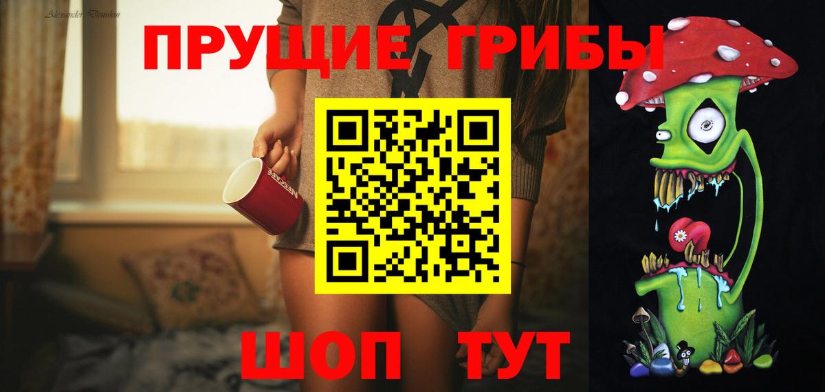 Псилоцибиновые грибы GOLDEN TEACHER  Вход с VPN  купить наркотик  Бердск 